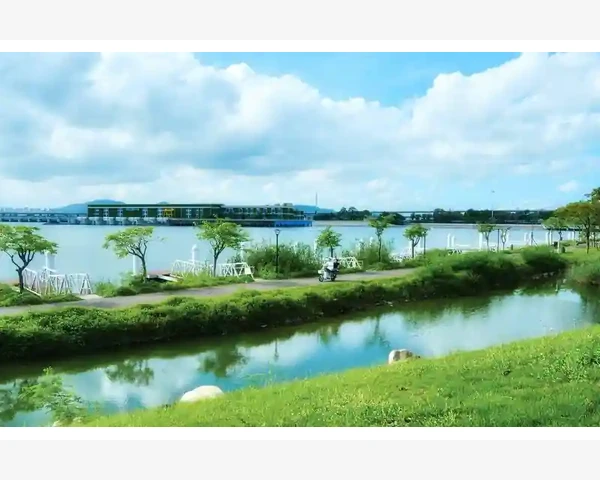 胆囊毛糙的调理方法：重拾健康胆囊，让你远离胆囊毛糙的困扰
